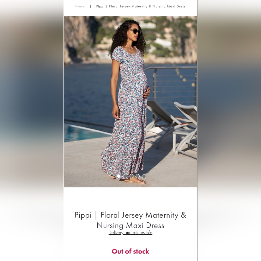 Seraphine Nursing/Maternity Dress